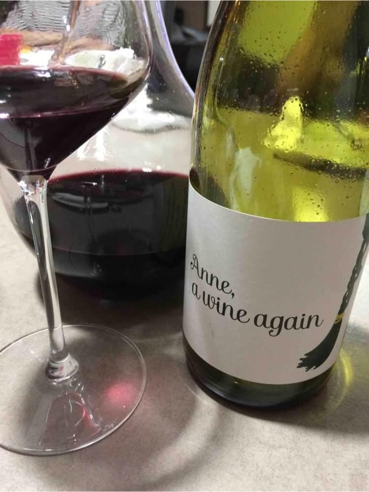 Anne, a wine again - Autour de l'Anne - Anne Leclerc Paillet 
