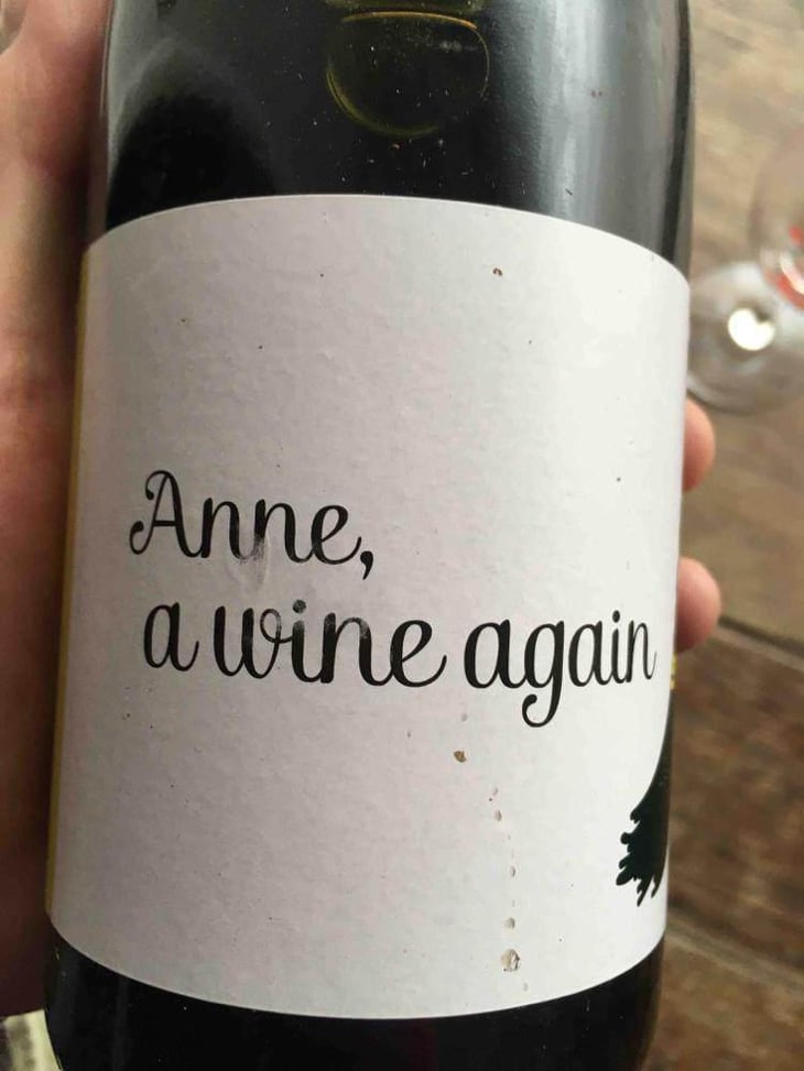 Anne, a wine again - Autour de l'Anne - Anne Leclerc Paillet 
