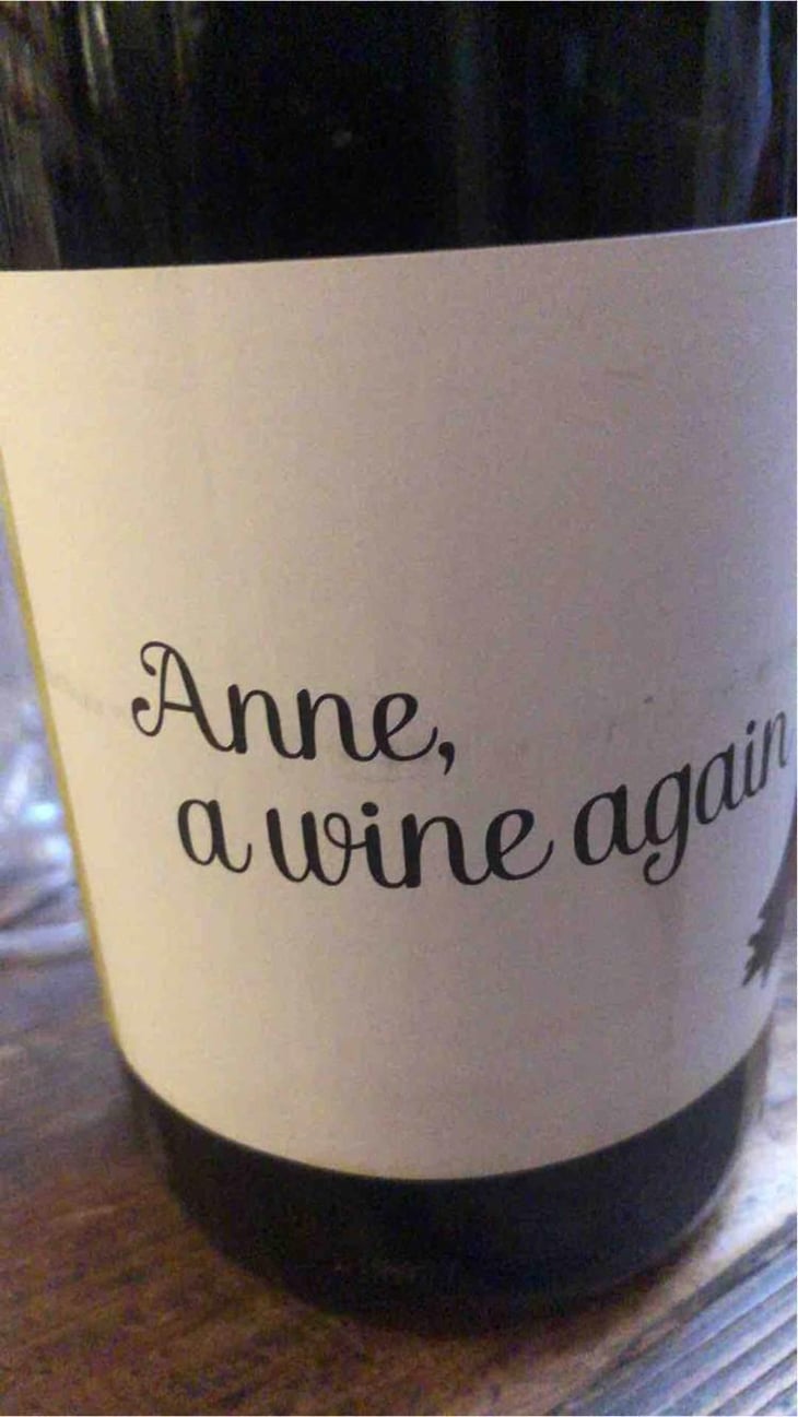 Anne, a wine again - Autour de l'Anne - Anne Leclerc Paillet 