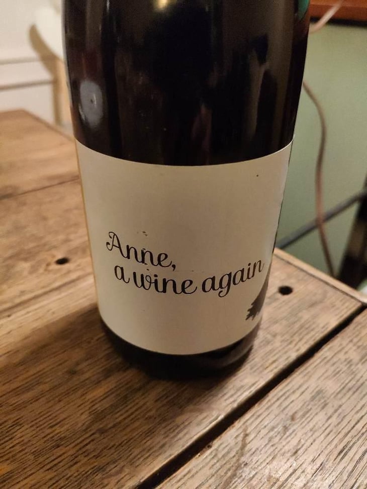 Anne, a wine again - Autour de l'Anne - Anne Leclerc Paillet 