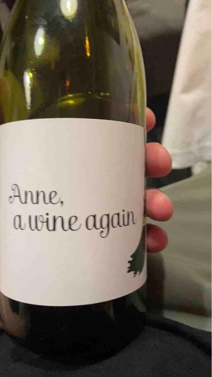 Anne, a wine again - Autour de l'Anne - Anne Leclerc Paillet 