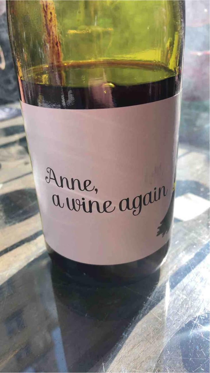 Anne, a wine again - Autour de l'Anne - Anne Leclerc Paillet 