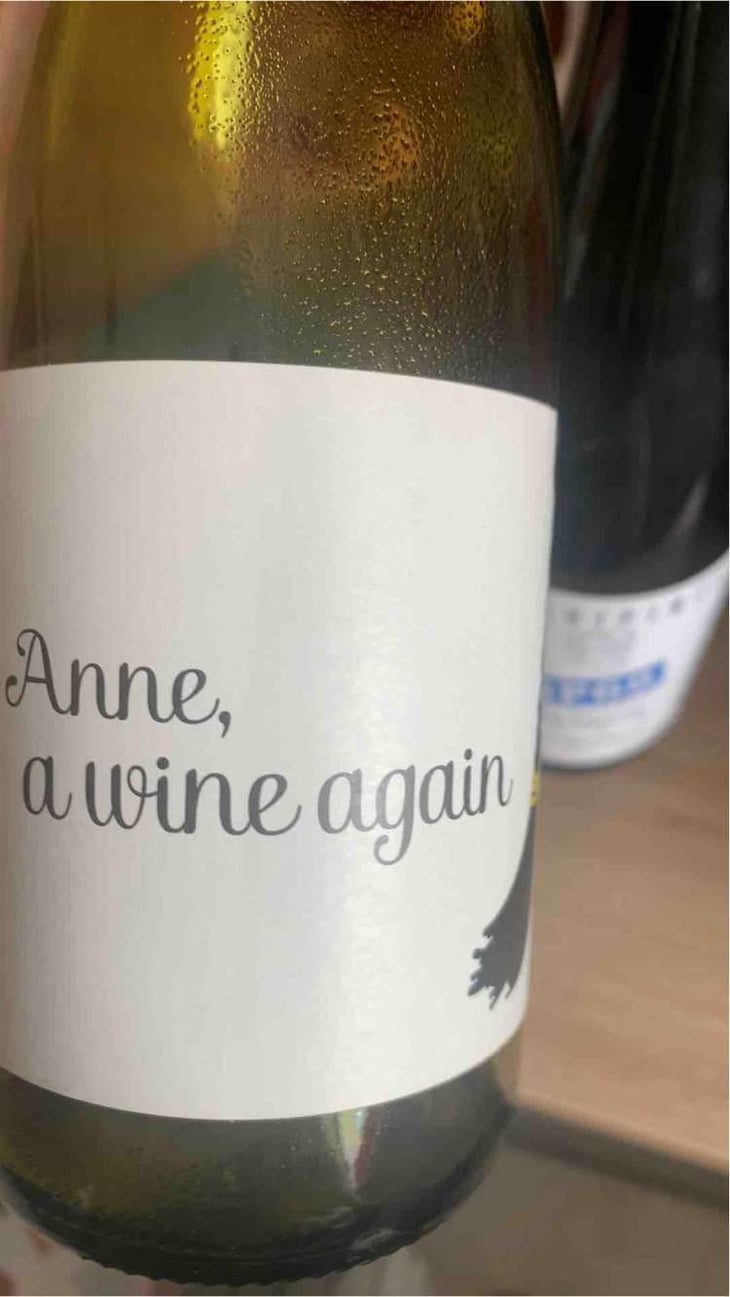 Anne, a wine again - Autour de l'Anne - Anne Leclerc Paillet 