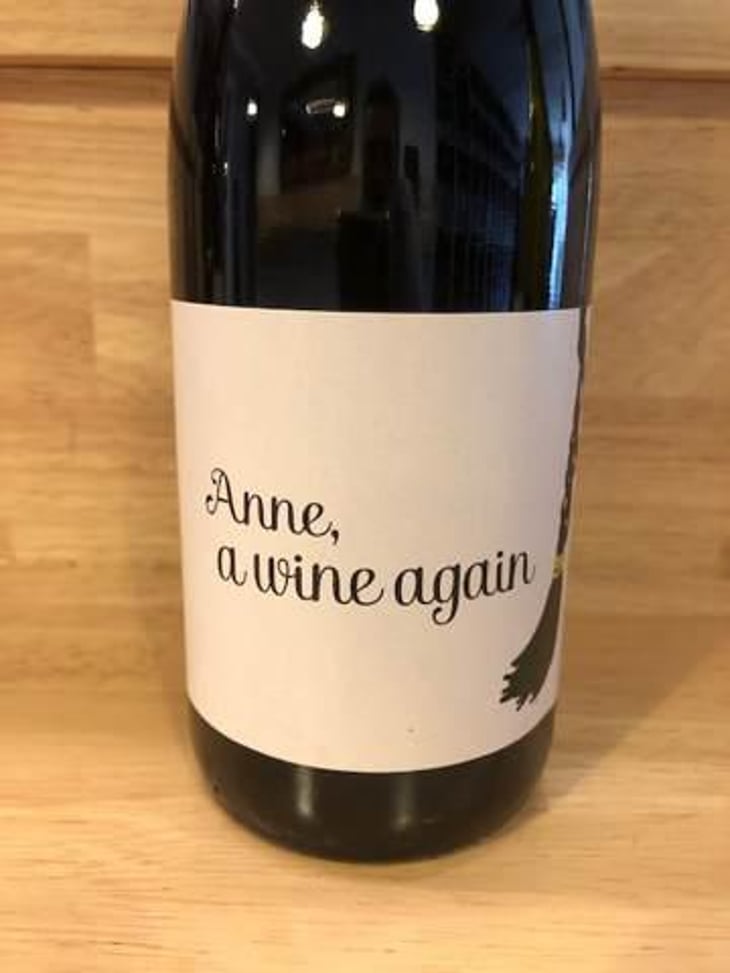 Anne, a wine again - Autour de l'Anne - Anne Leclerc Paillet 