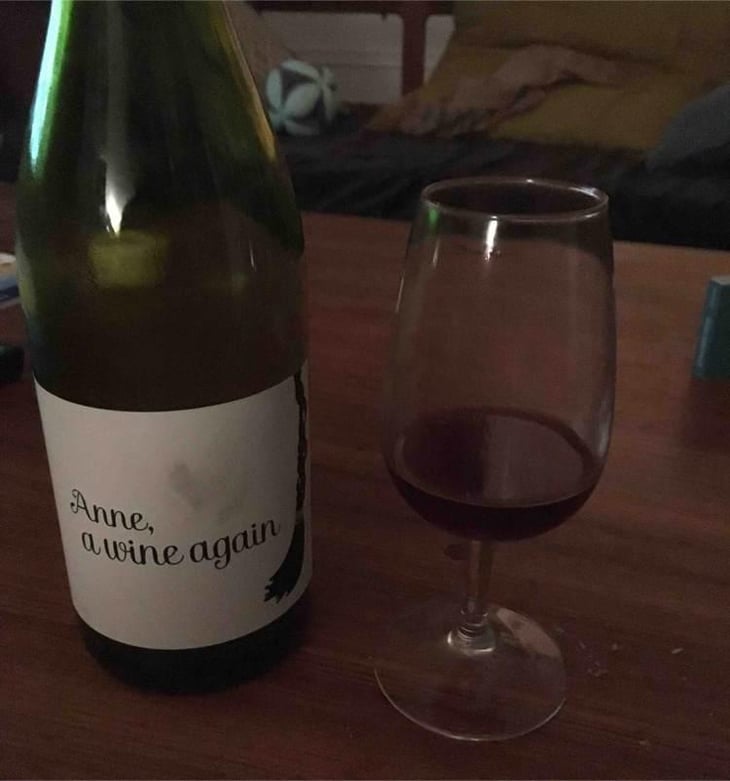 Anne, a wine again - Autour de l'Anne - Anne Leclerc Paillet 