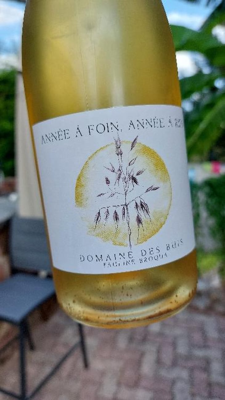 Annee A Foin, Annee A Rien - Domaine des Buis - Pauline Broqua -2021