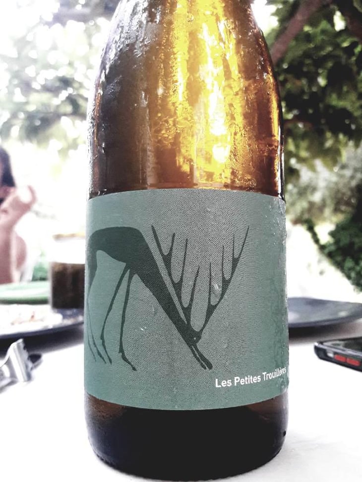 Annolium Blanc - Domaine Des Trouillères - Camille & Mikael Hyvert -2021