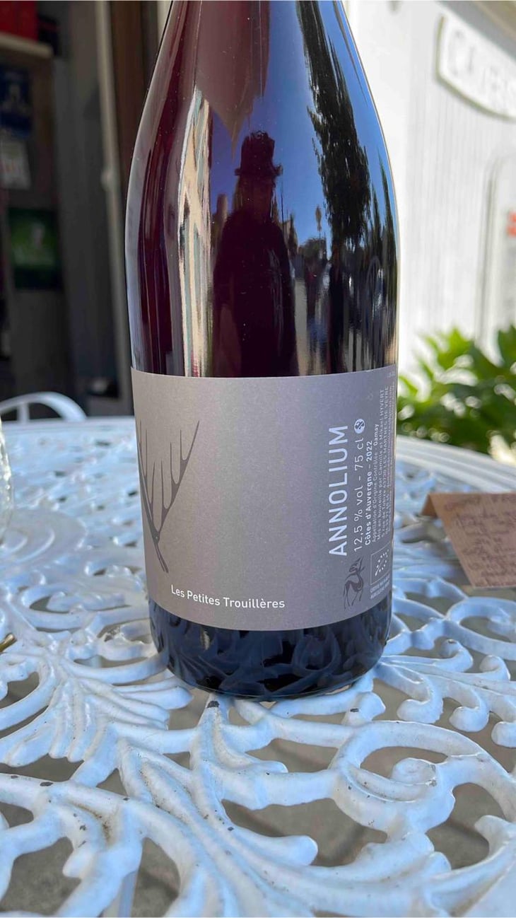 Annolium Rouge - Domaine Des Trouillères - Camille & Mikael Hyvert 