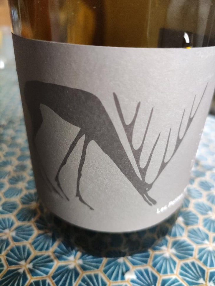 Annolium Rouge - Domaine Des Trouillères - Camille & Mikael Hyvert 