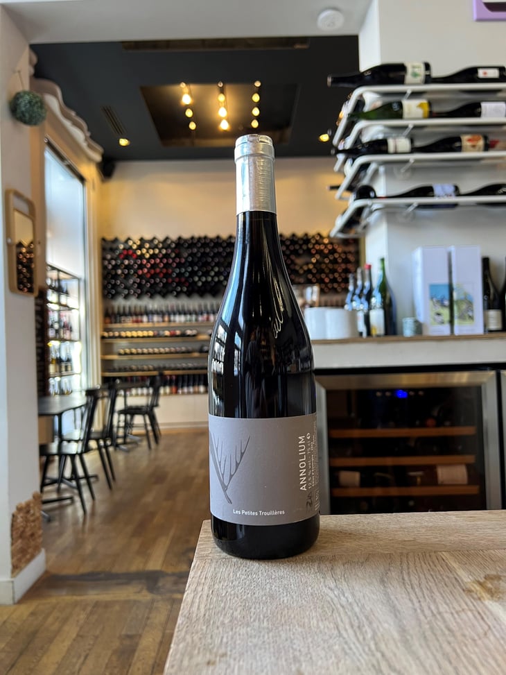 Annolium Rouge - Domaine Des Trouillères - Camille & Mikael Hyvert 