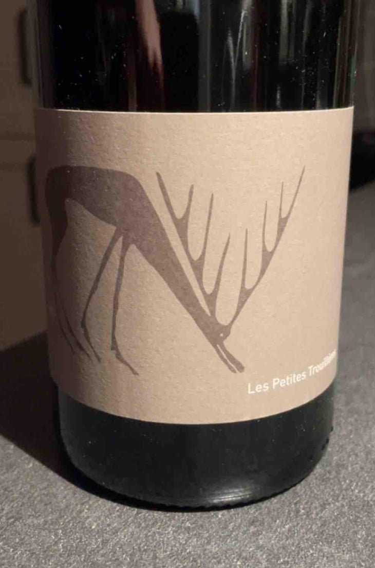 Annolium Rouge - Domaine Des Trouillères - Camille & Mikael Hyvert 