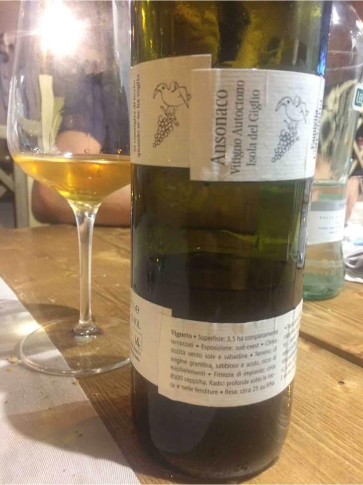 Ansonaco - Altura Vigneto - Francesco Carfagna 