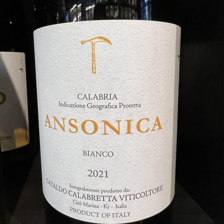 Ansonica - Cataldo Catabretta - Cataldo Calabretta -2021