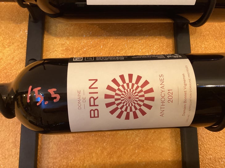 Anthocyanes - Domaine de Brin - Damien Bonnet 