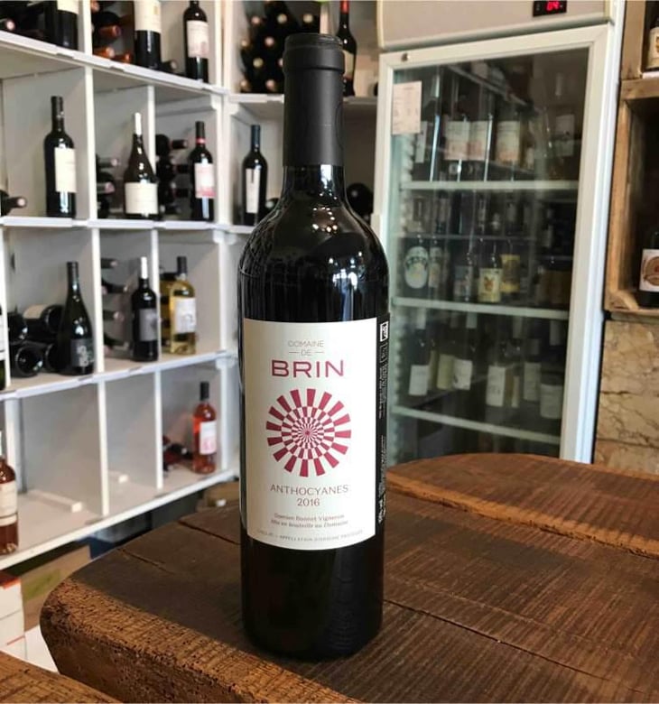 Anthocyanes - Domaine de Brin - Damien Bonnet 
