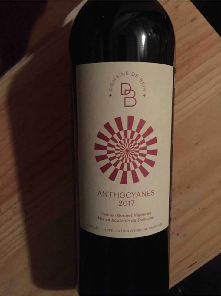 Anthocyanes - Domaine de Brin - Damien Bonnet 
