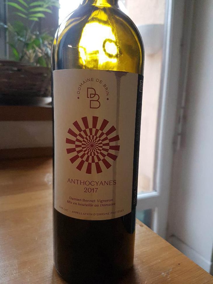 Anthocyanes - Domaine de Brin - Damien Bonnet 