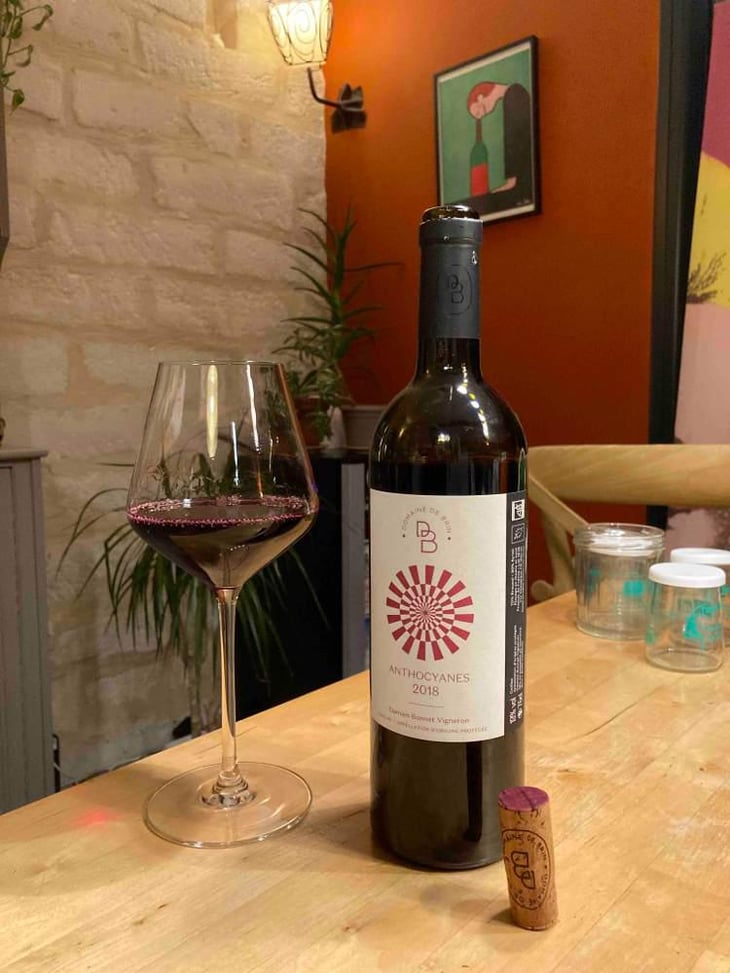 Anthocyanes - Domaine de Brin - Damien Bonnet 