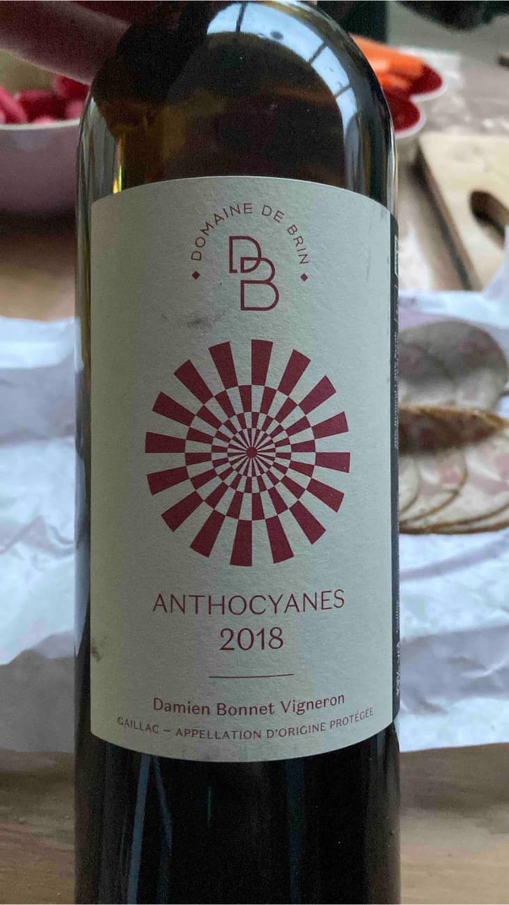 Anthocyanes - Domaine de Brin - Damien Bonnet 