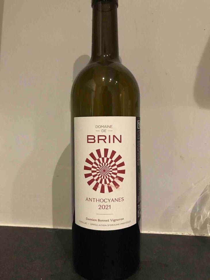 Anthocyanes - Domaine de Brin - Damien Bonnet 