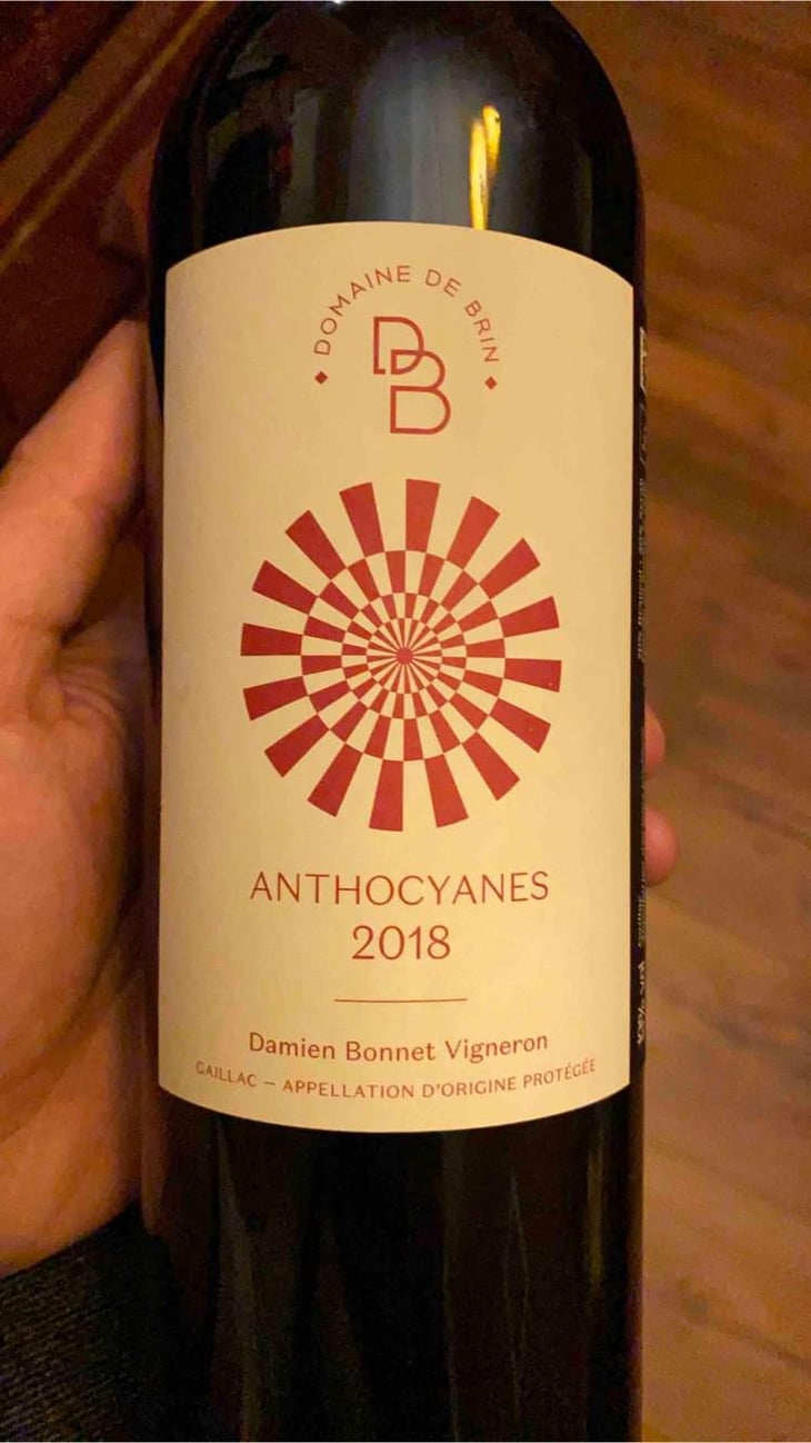 Anthocyanes - Domaine de Brin - Damien Bonnet 