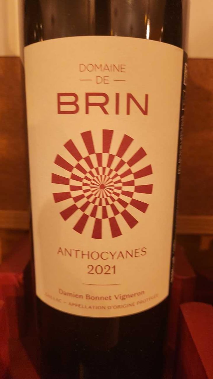 Anthocyanes - Domaine de Brin - Damien Bonnet 