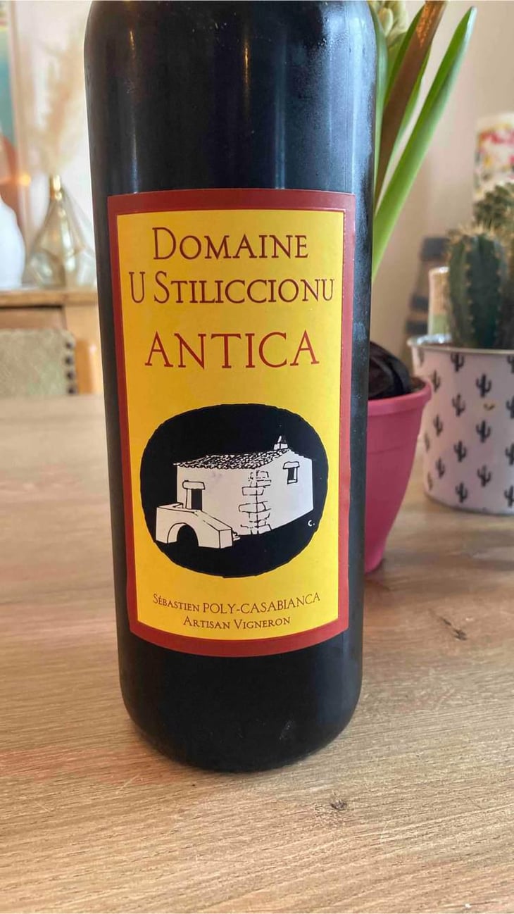 Antica - Domaine U Stiliccionu - Sébastien Poly-Casablanca 