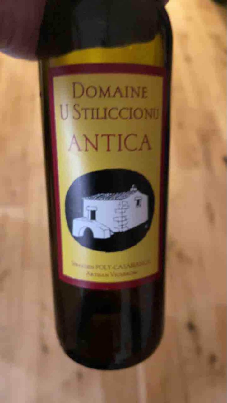 Antica - Domaine U Stiliccionu - Sébastien Poly-Casablanca 