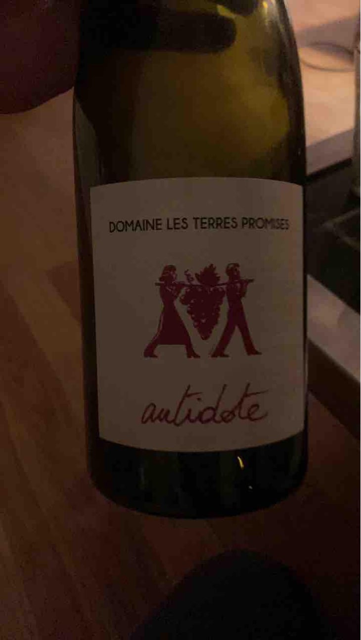 Antidote - Les Terres Promises - Jean-Christophe Comor 