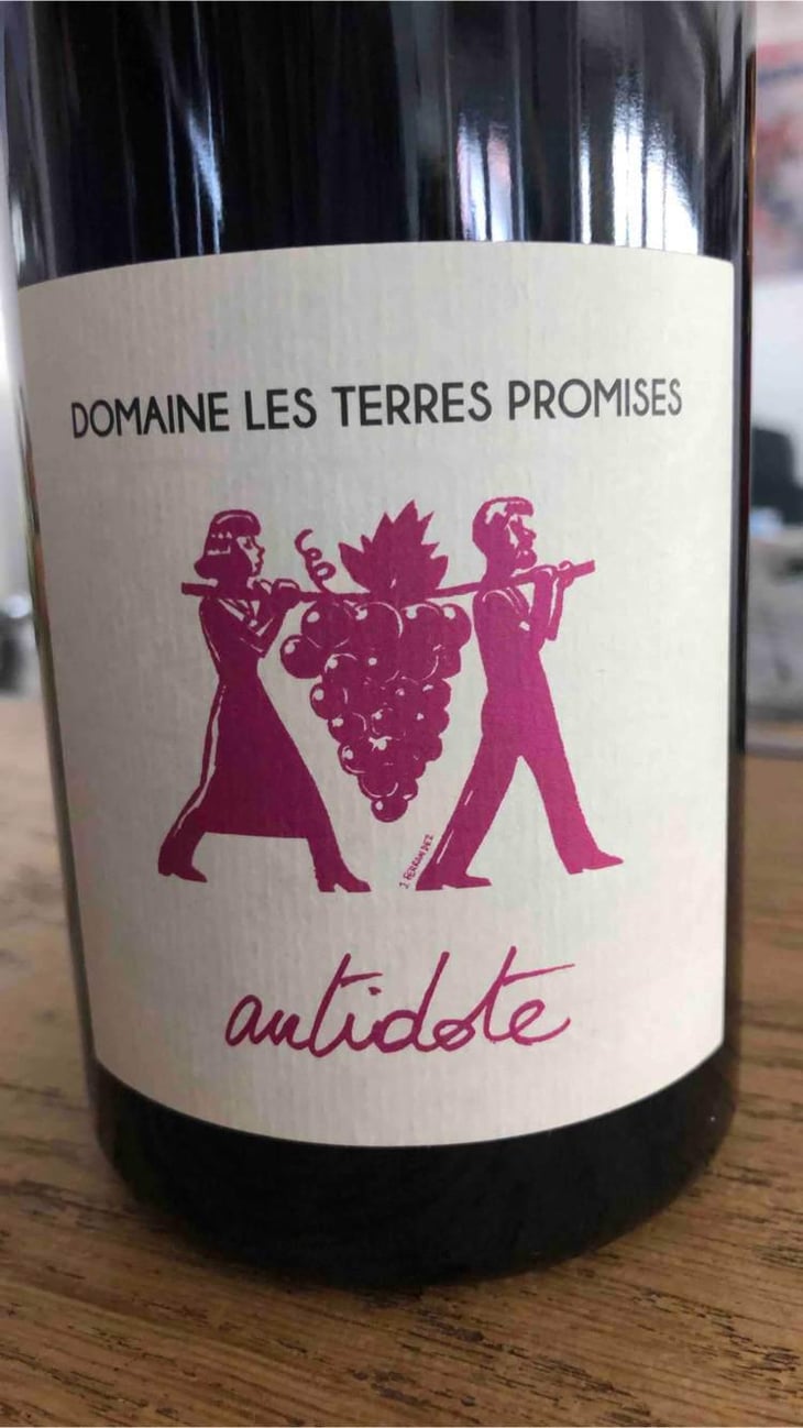 Antidote - Les Terres Promises - Jean-Christophe Comor 