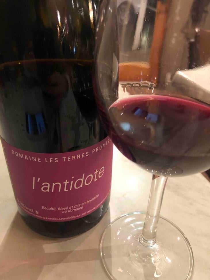 Antidote - Les Terres Promises - Jean-Christophe Comor 