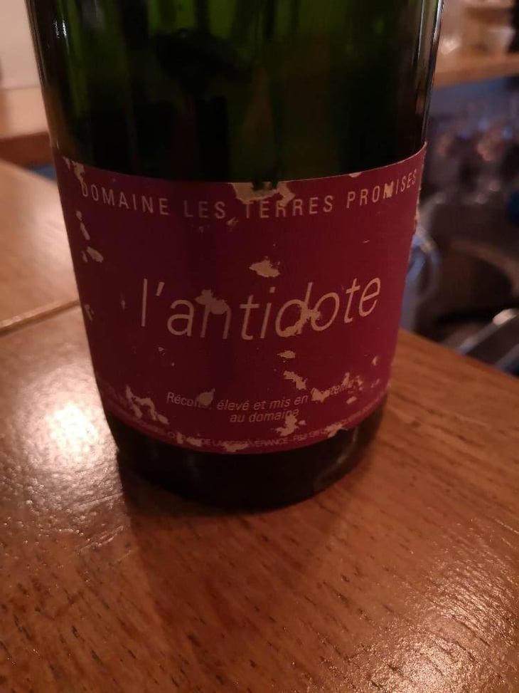 Antidote - Les Terres Promises - Jean-Christophe Comor 