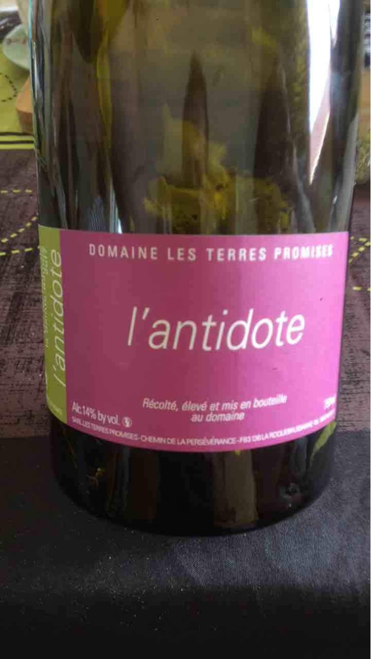 Antidote - Les Terres Promises - Jean-Christophe Comor 