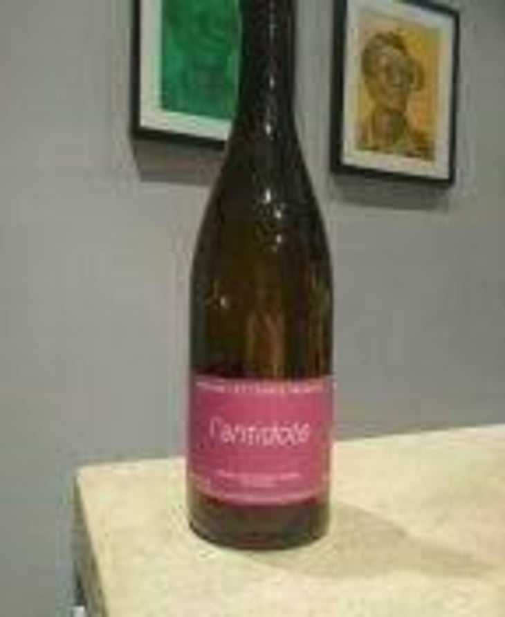 Antidote - Les Terres Promises - Jean-Christophe Comor 