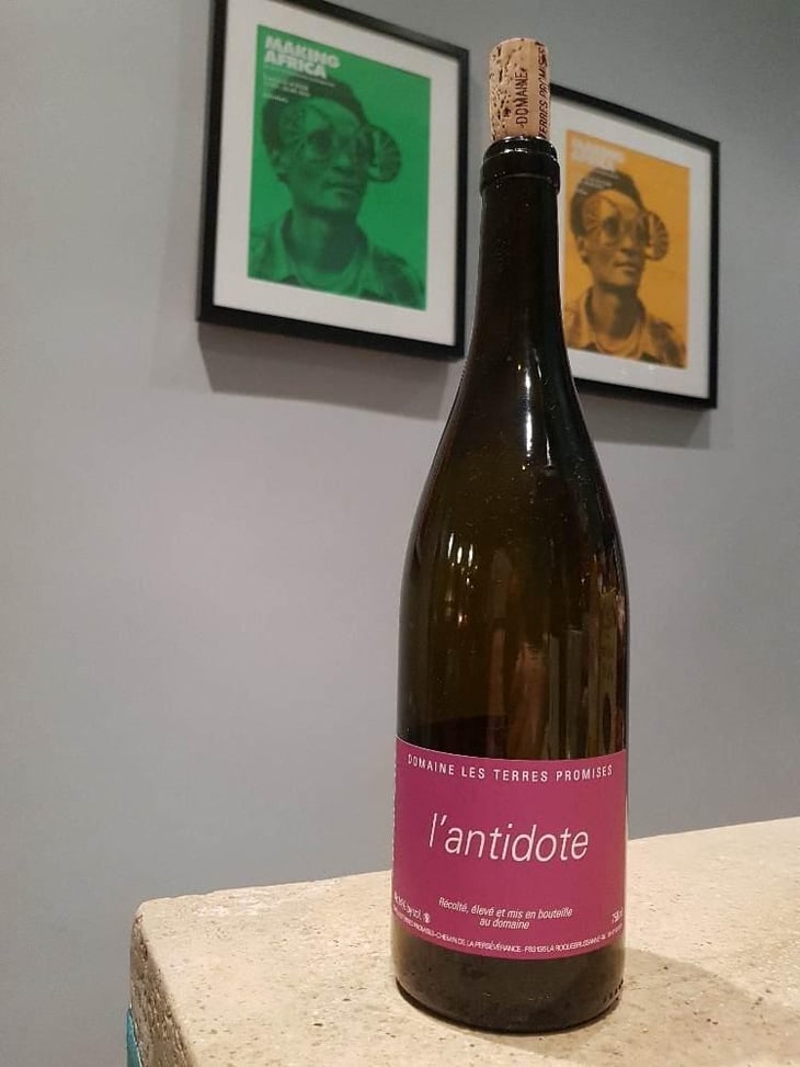 Antidote - Les Terres Promises - Jean-Christophe Comor 