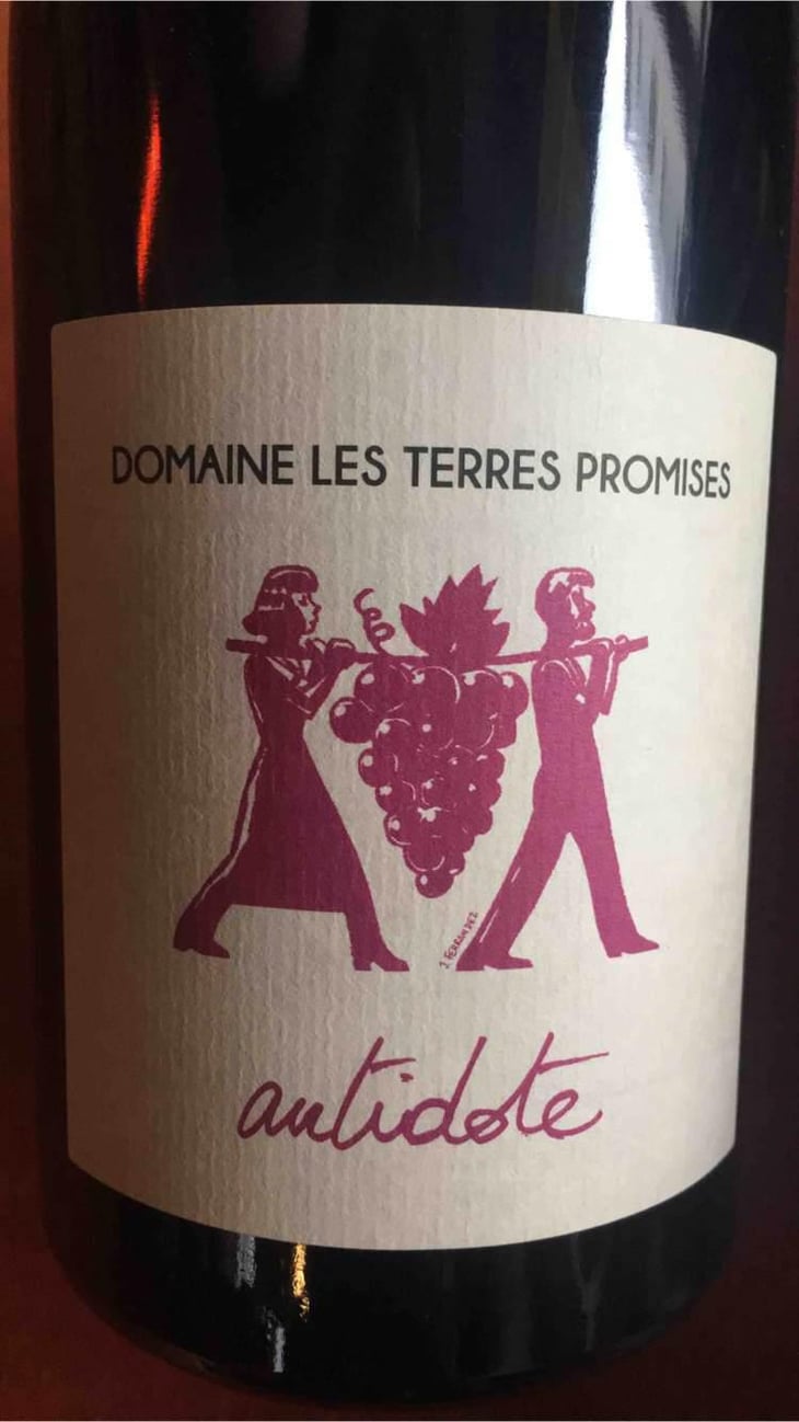 Antidote - Les Terres Promises - Jean-Christophe Comor 