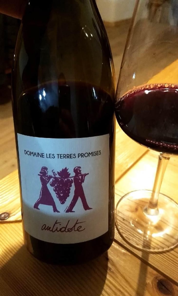 Antidote - Les Terres Promises - Jean-Christophe Comor 