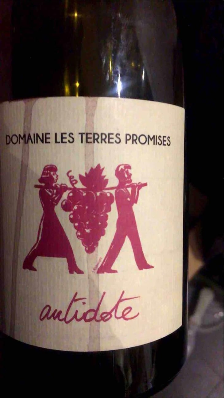 Antidote - Les Terres Promises - Jean-Christophe Comor 