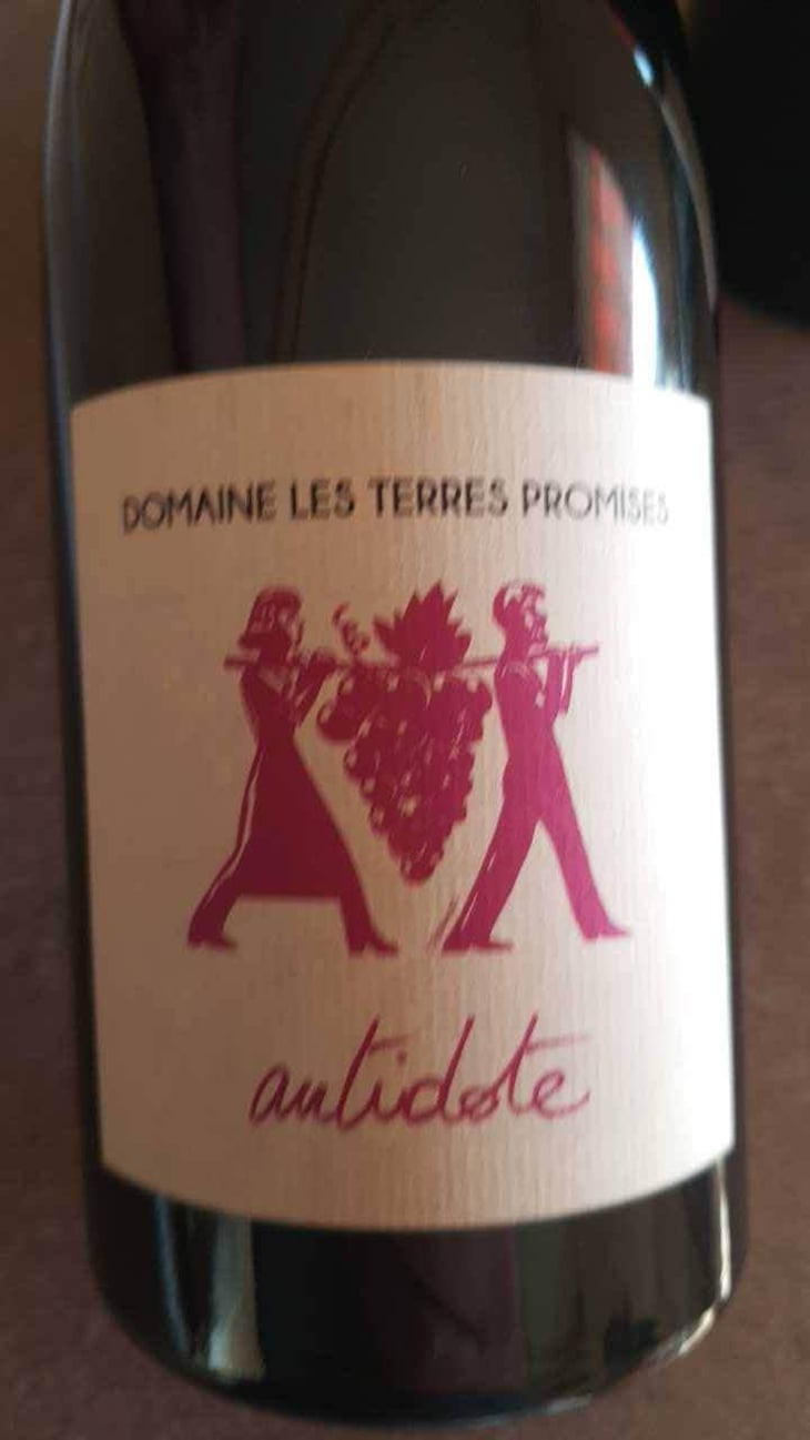 Antidote - Les Terres Promises - Jean-Christophe Comor 