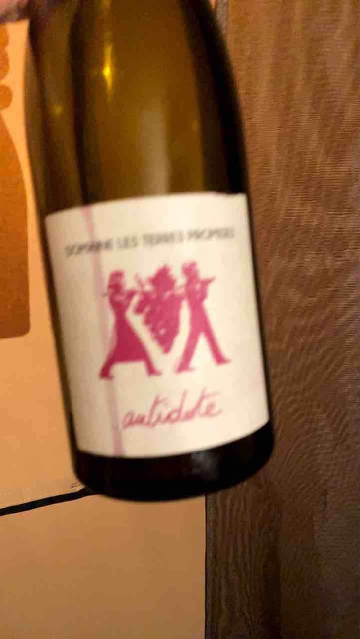 Antidote - Les Terres Promises - Jean-Christophe Comor 