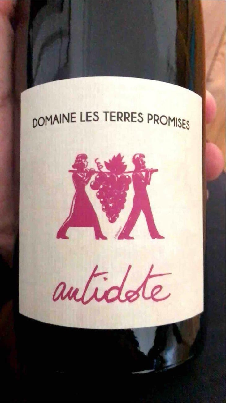 Antidote - Les Terres Promises - Jean-Christophe Comor 