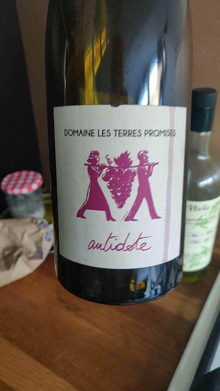 Antidote - Les Terres Promises - Jean-Christophe Comor 