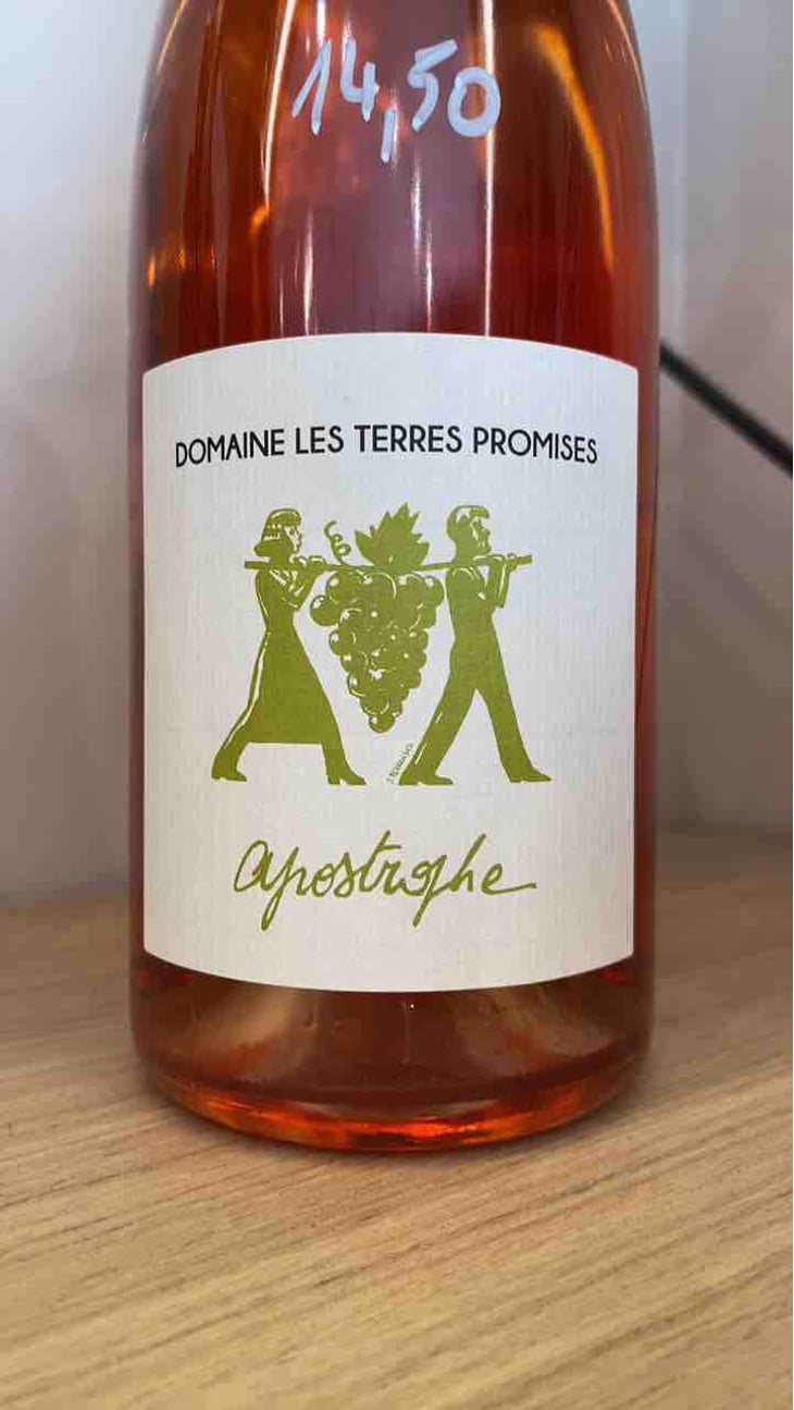 Antidote - Les Terres Promises - Jean-Christophe Comor 