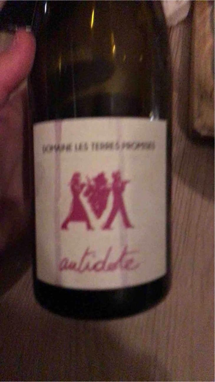 Antidote - Les Terres Promises - Jean-Christophe Comor 