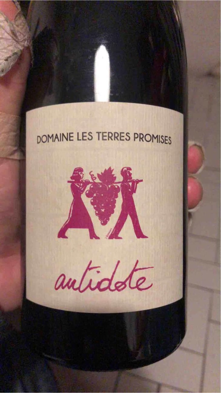 Antidote - Les Terres Promises - Jean-Christophe Comor 