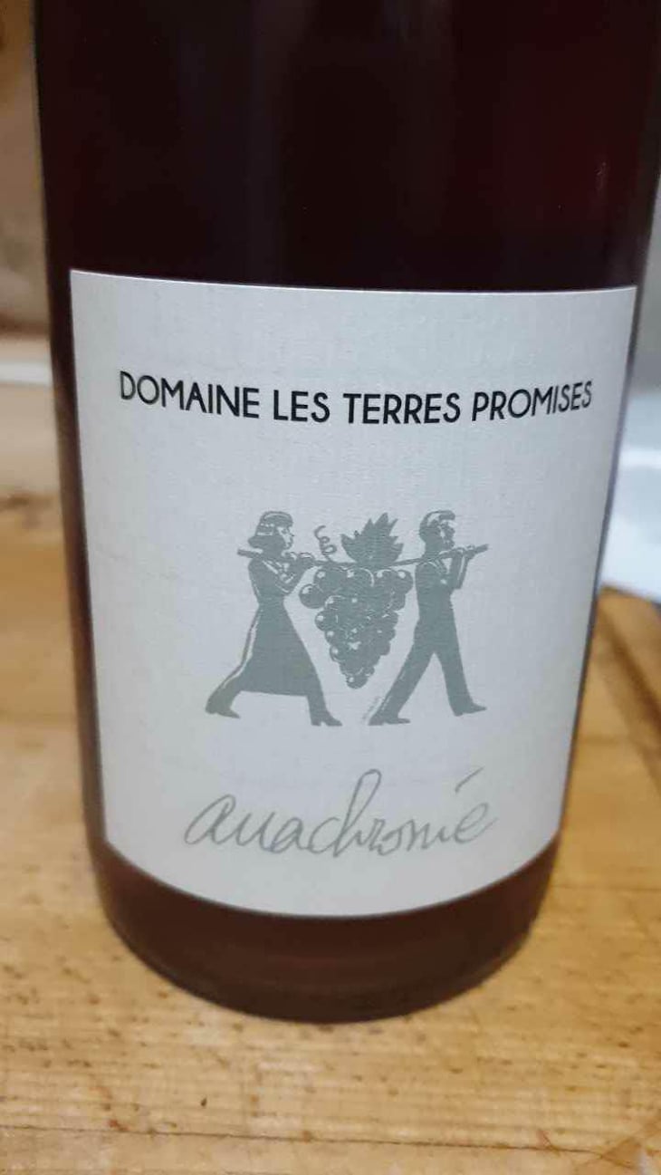 Antidote - Les Terres Promises - Jean-Christophe Comor 