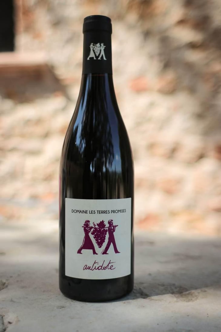 Antidote - Les Terres Promises - Jean-Christophe Comor 
