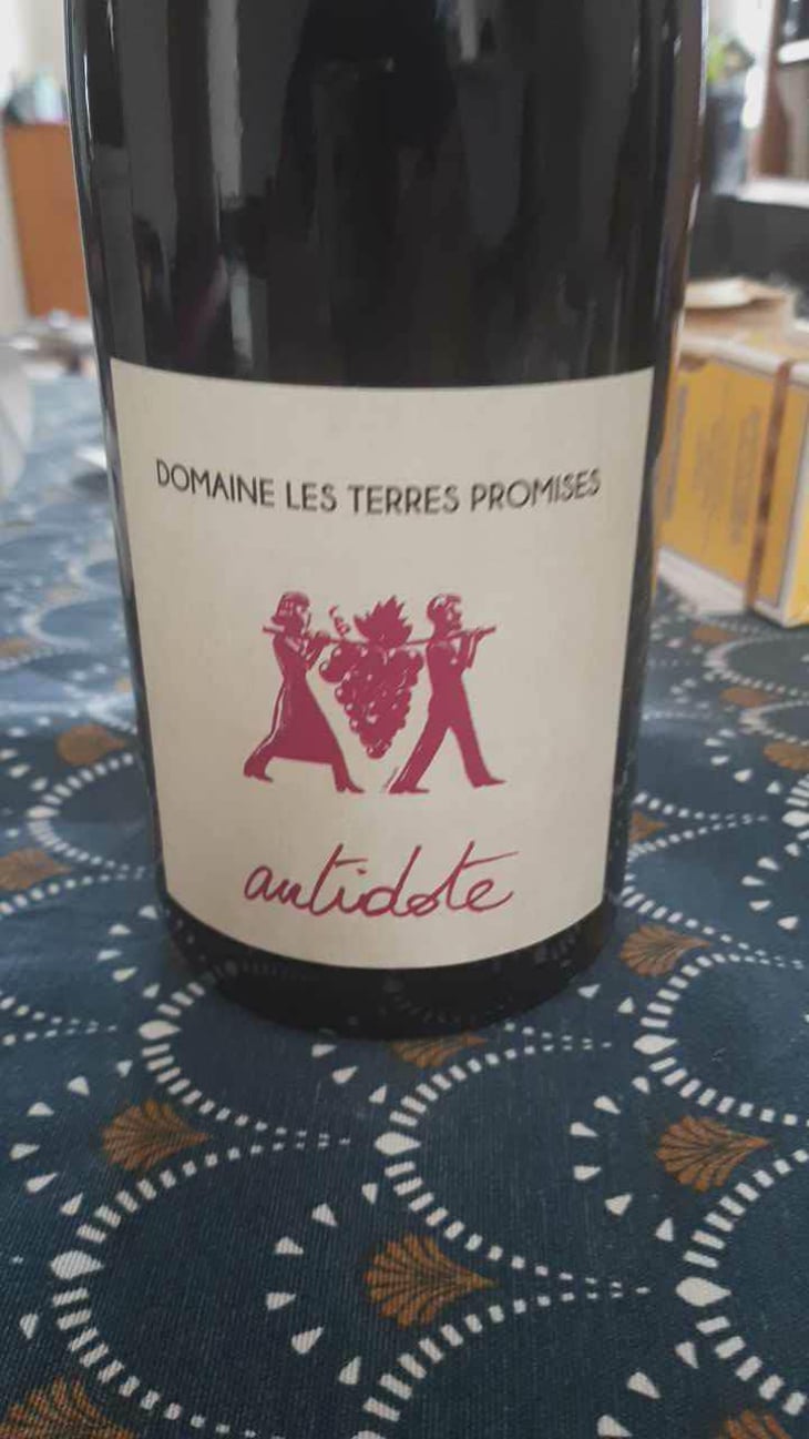 Antidote - Les Terres Promises - Jean-Christophe Comor 