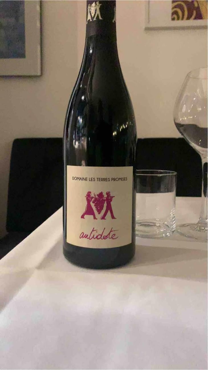 Antidote - Les Terres Promises - Jean-Christophe Comor 