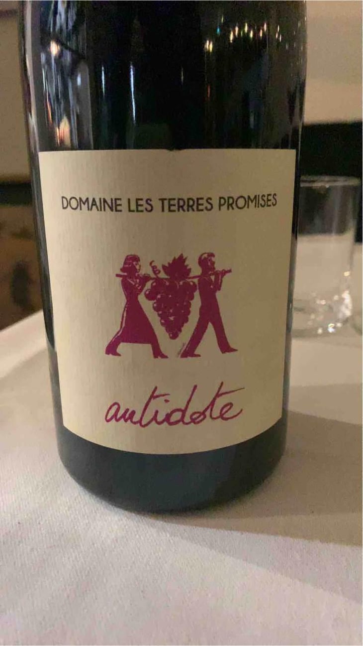 Antidote - Les Terres Promises - Jean-Christophe Comor 
